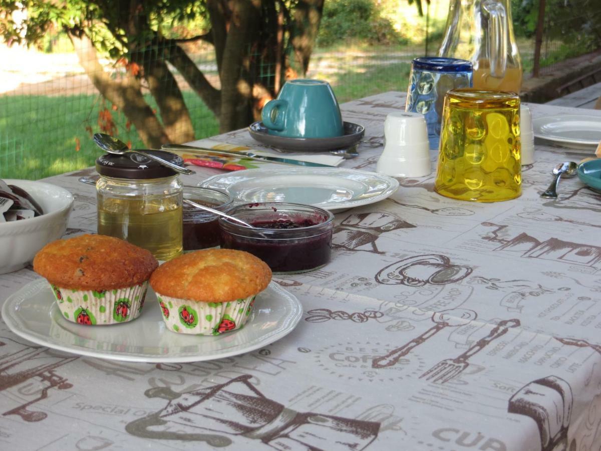 La Bella Dormiente B&B Castellamonte Kültér fotó
